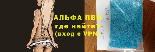 хмурый Верея