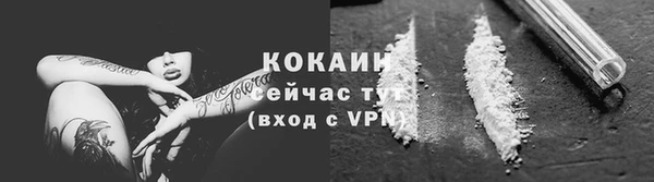 хмурый Верея