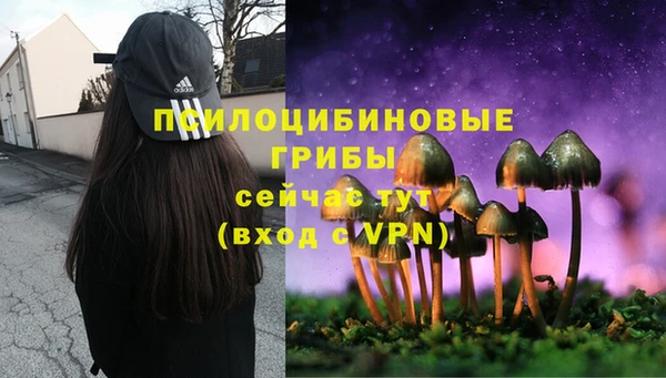 хмурый Верея