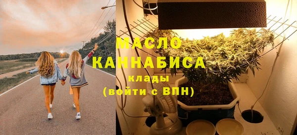 хмурый Верея
