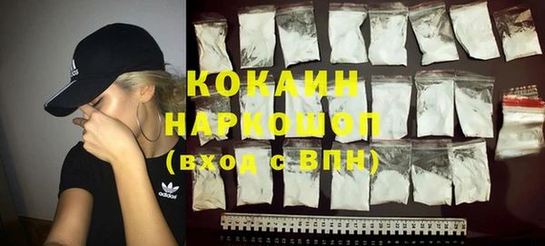 гидропоника Бородино