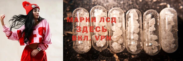 хмурый Верея
