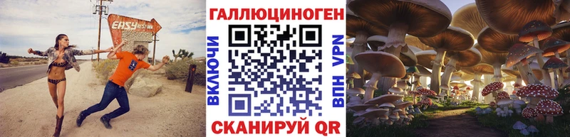 как найти   Медынь  mega маркетплейс  Галлюциногенные грибы MAGIC MUSHROOMS 